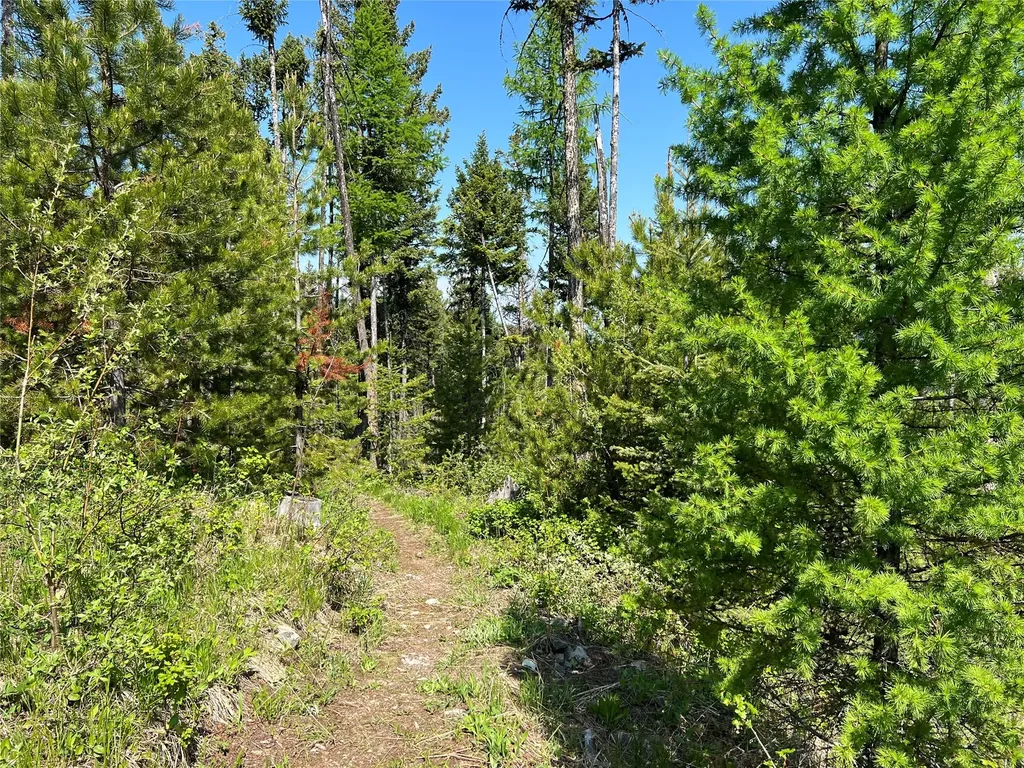 Nhn Emmons Canyon Road Kalispell MT 59901