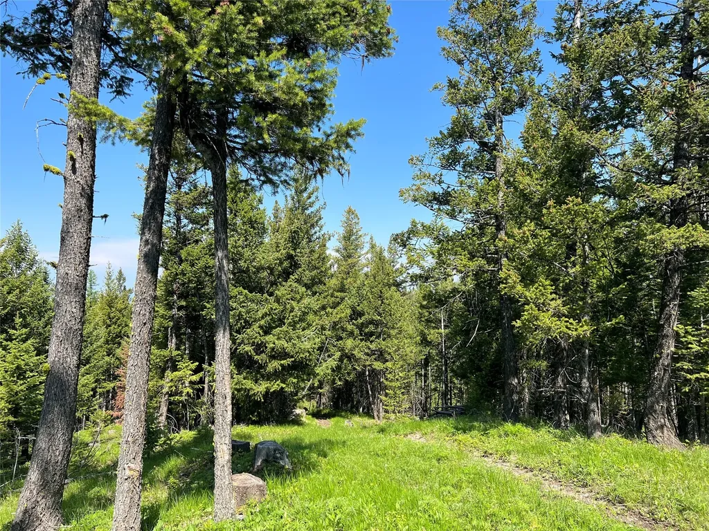 Nhn Emmons Canyon Road Kalispell MT 59901