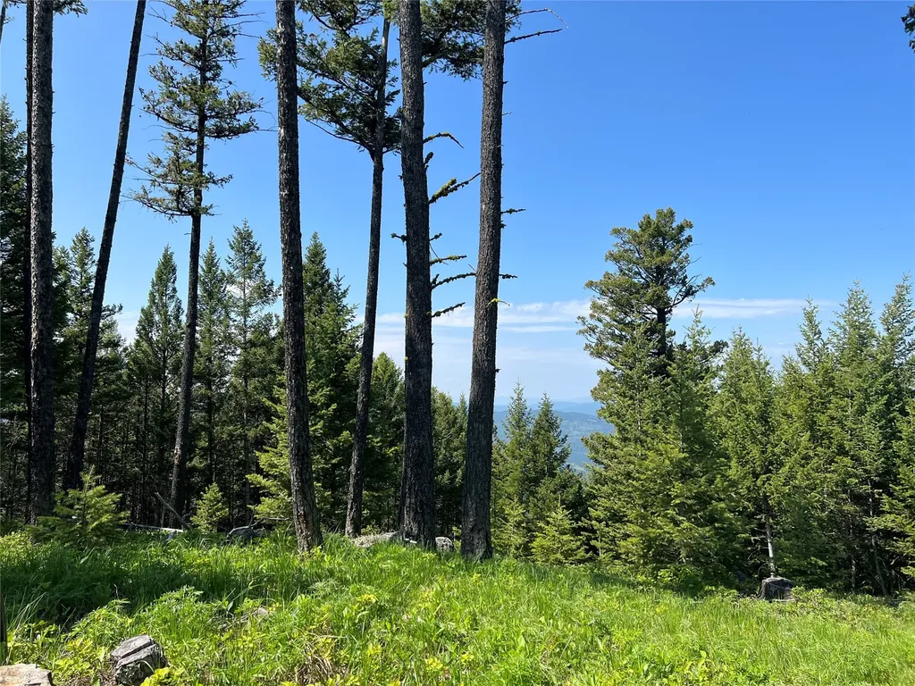 Nhn Emmons Canyon Road Kalispell MT 59901