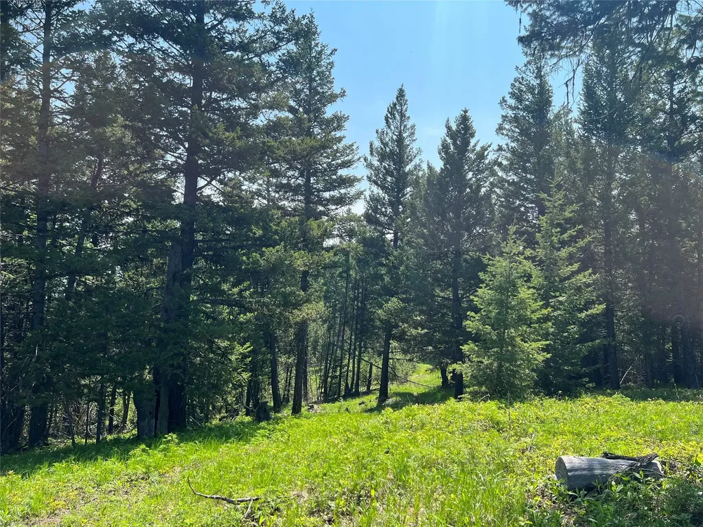 Nhn Emmons Canyon Road Kalispell MT 59901