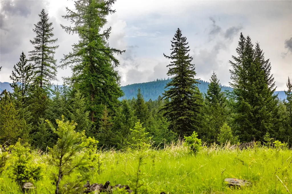 4736 Sinclair Creek Drive Eureka MT 59917