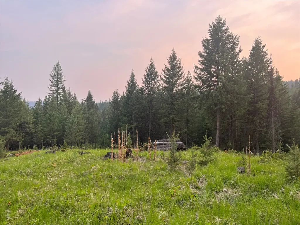 4736 Sinclair Creek Drive Eureka MT 59917
