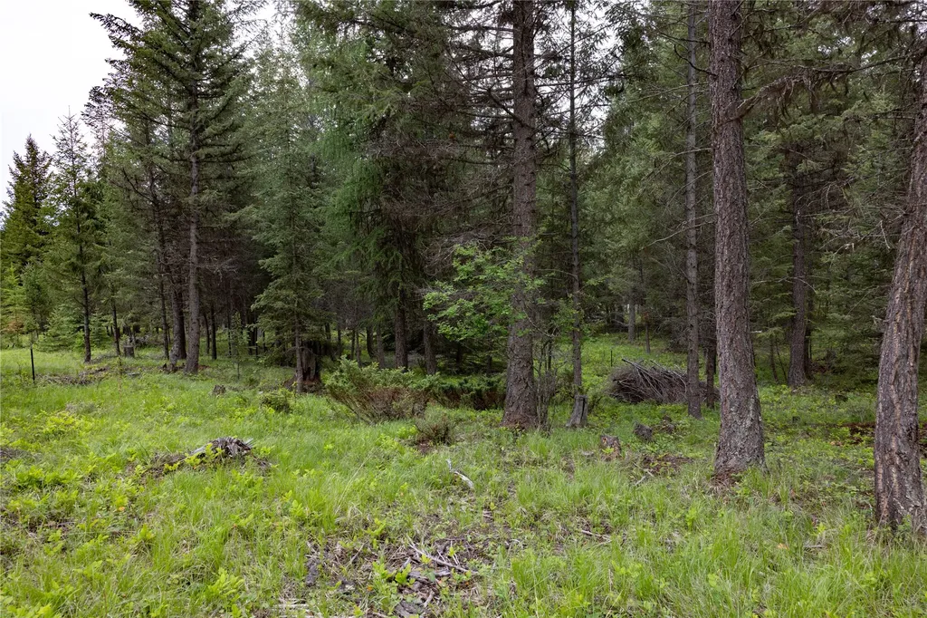 4736 Sinclair Creek Drive Eureka MT 59917