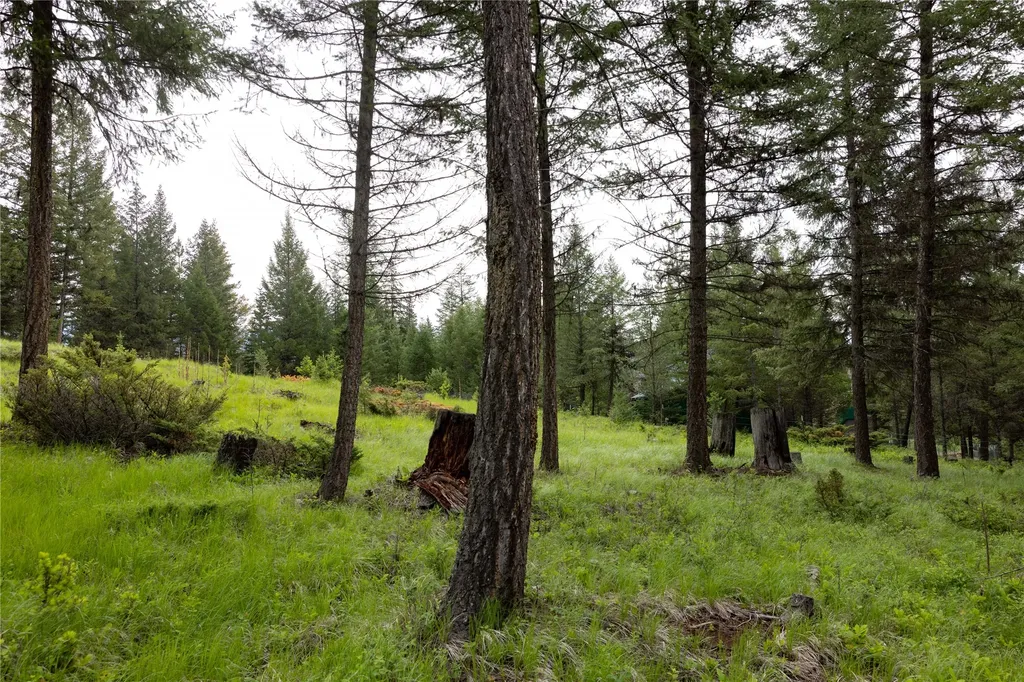 4736 Sinclair Creek Drive Eureka MT 59917