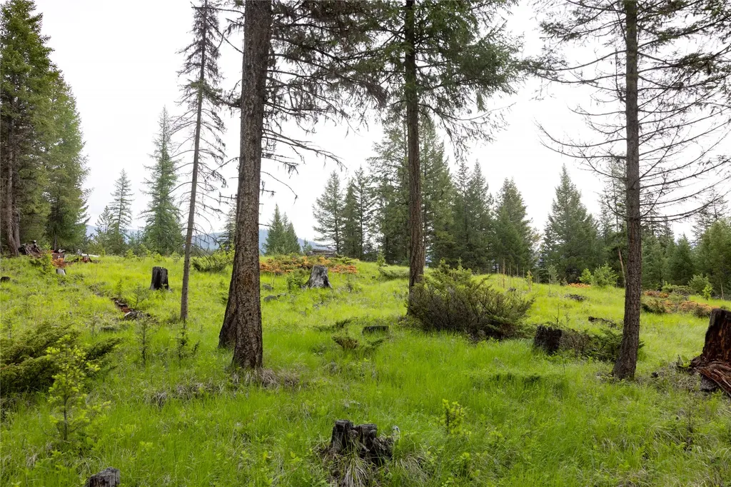 4736 Sinclair Creek Drive Eureka MT 59917