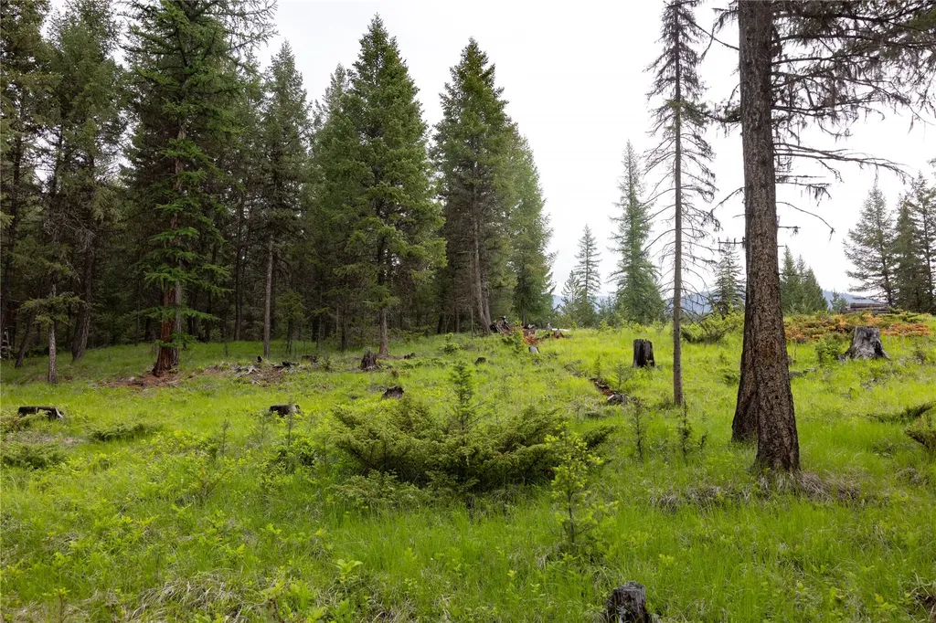 4736 Sinclair Creek Drive Eureka MT 59917