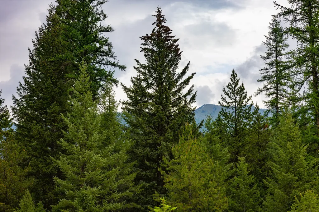 4736 Sinclair Creek Drive Eureka MT 59917