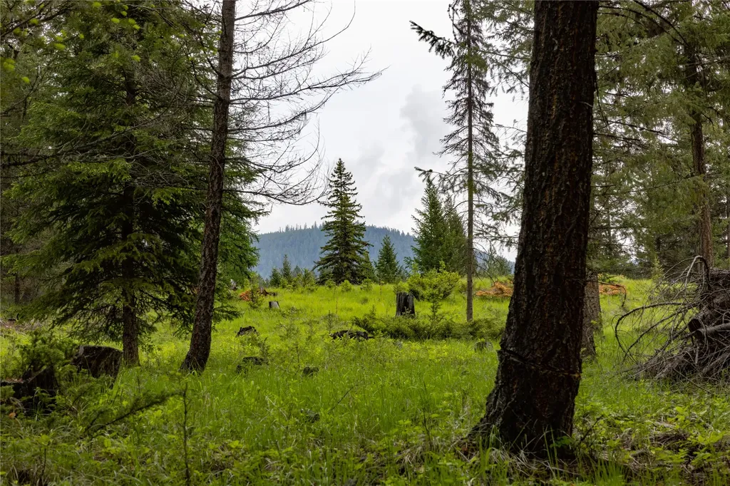 4736 Sinclair Creek Drive Eureka MT 59917