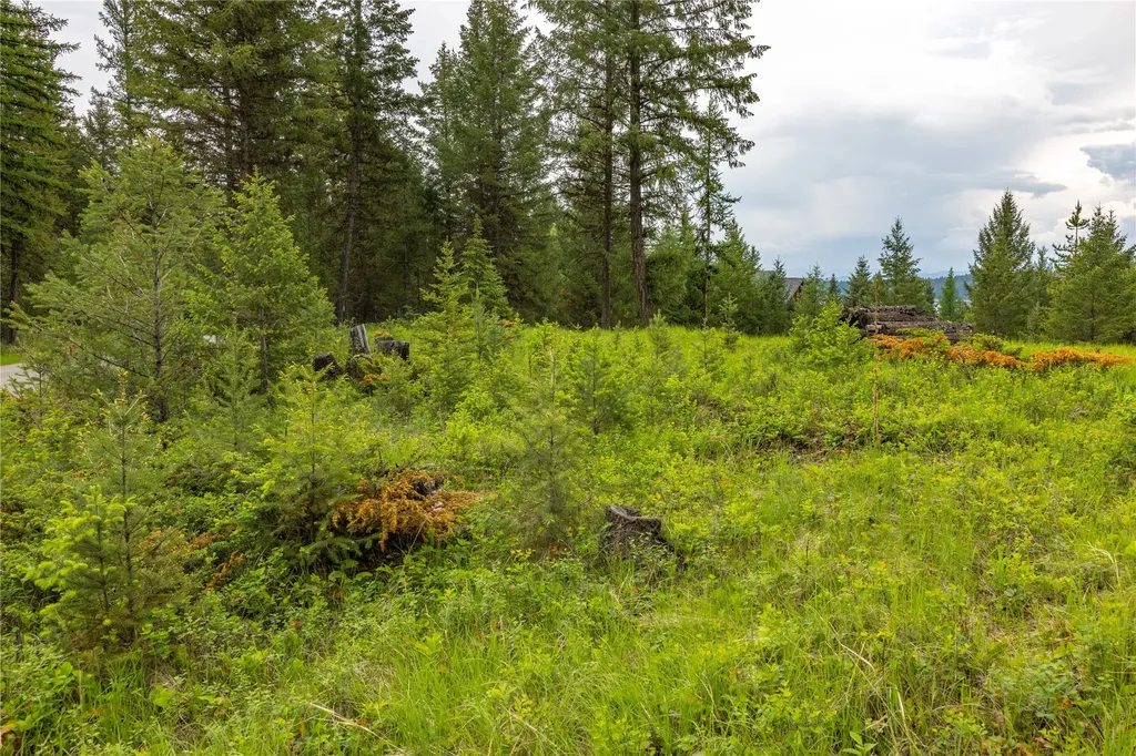 4736 Sinclair Creek Drive Eureka MT 59917