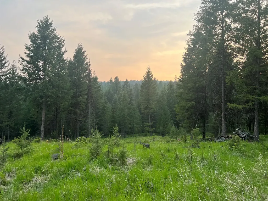 4736 Sinclair Creek Drive Eureka MT 59917