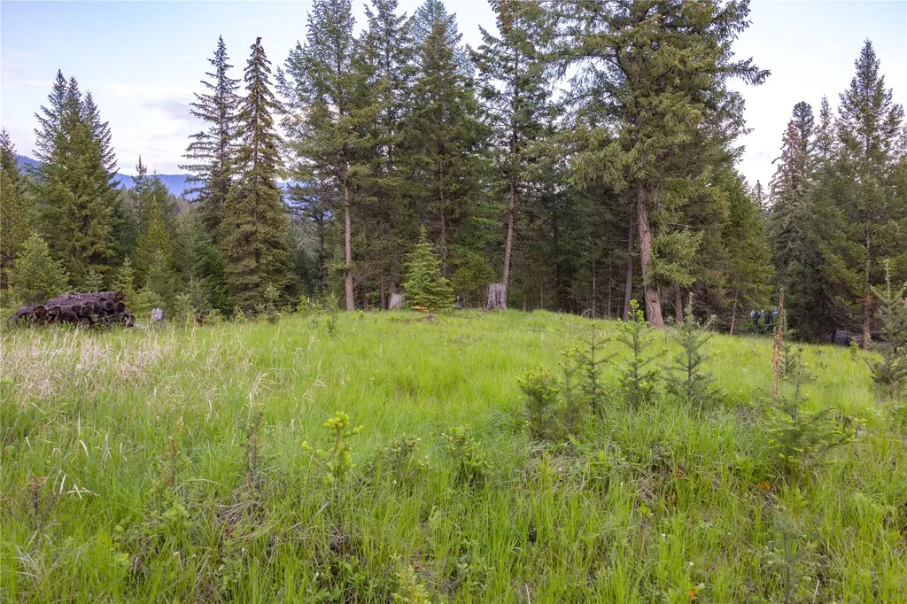 4736 Sinclair Creek Drive Eureka MT 59917