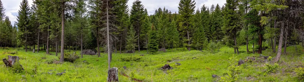 4736 Sinclair Creek Drive Eureka MT 59917