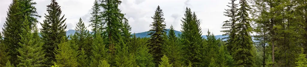 4736 Sinclair Creek Drive Eureka MT 59917