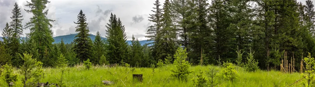 4736 Sinclair Creek Drive Eureka MT 59917