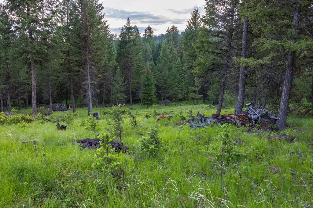 4736 Sinclair Creek Drive Eureka MT 59917