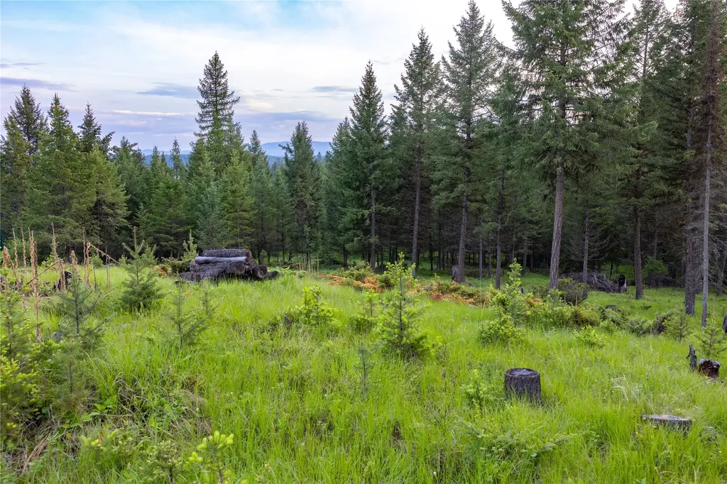 4736 Sinclair Creek Drive Eureka MT 59917