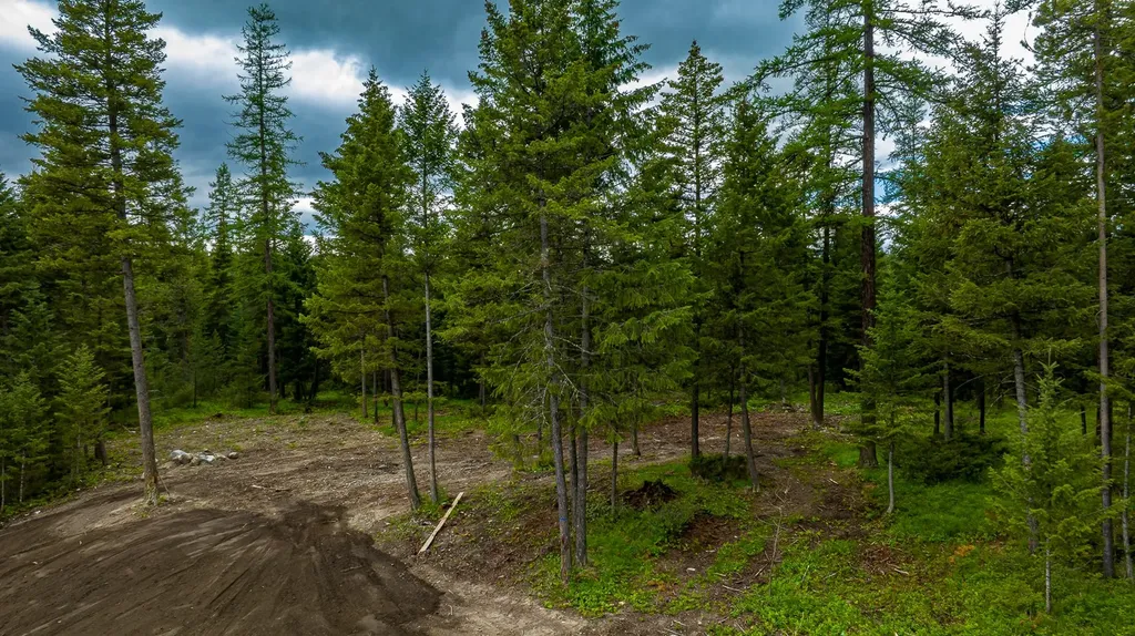1242 Falling Leaf Court Whitefish MT 59937