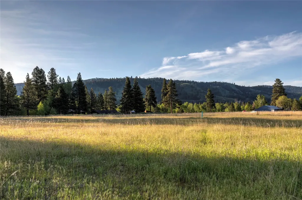 Nhn Trout Lane Hamilton MT 59840