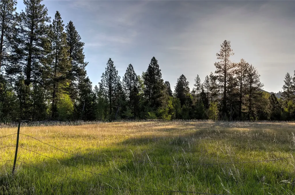 Nhn Trout Lane Hamilton MT 59840