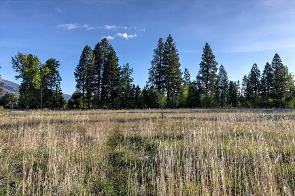 Nhn Trout Lane Hamilton MT 59840