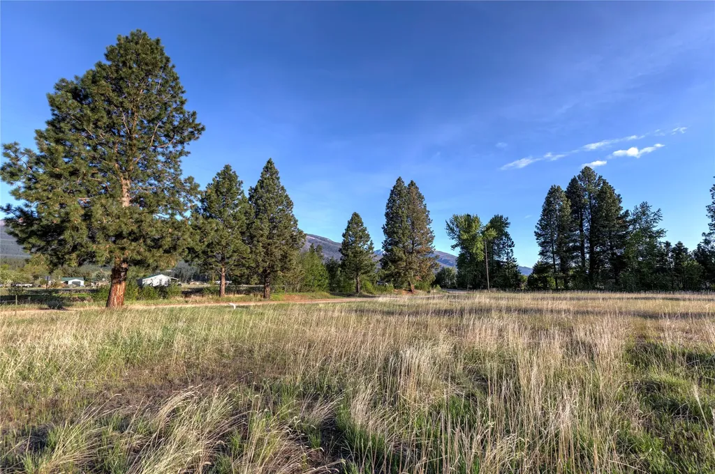 Nhn Trout Lane Hamilton MT 59840
