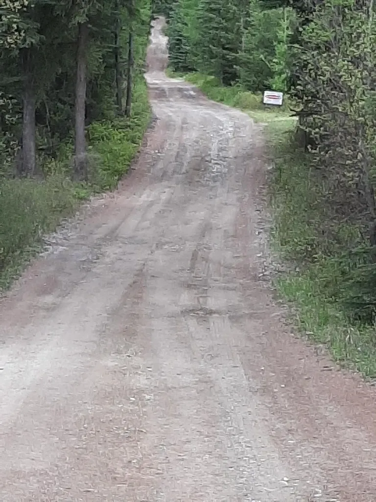 Lot 3 Butcher Creek Road Trego MT 59923