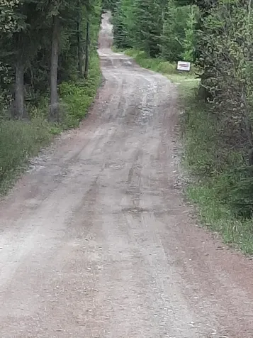 Lot 3 Butcher Creek Road Trego MT 59923