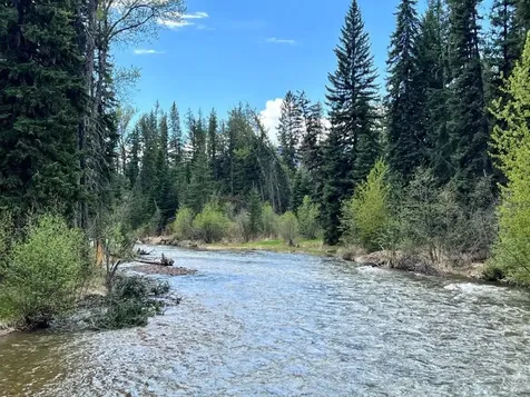 Nhn Glacier Creek Road Condon MT 59826