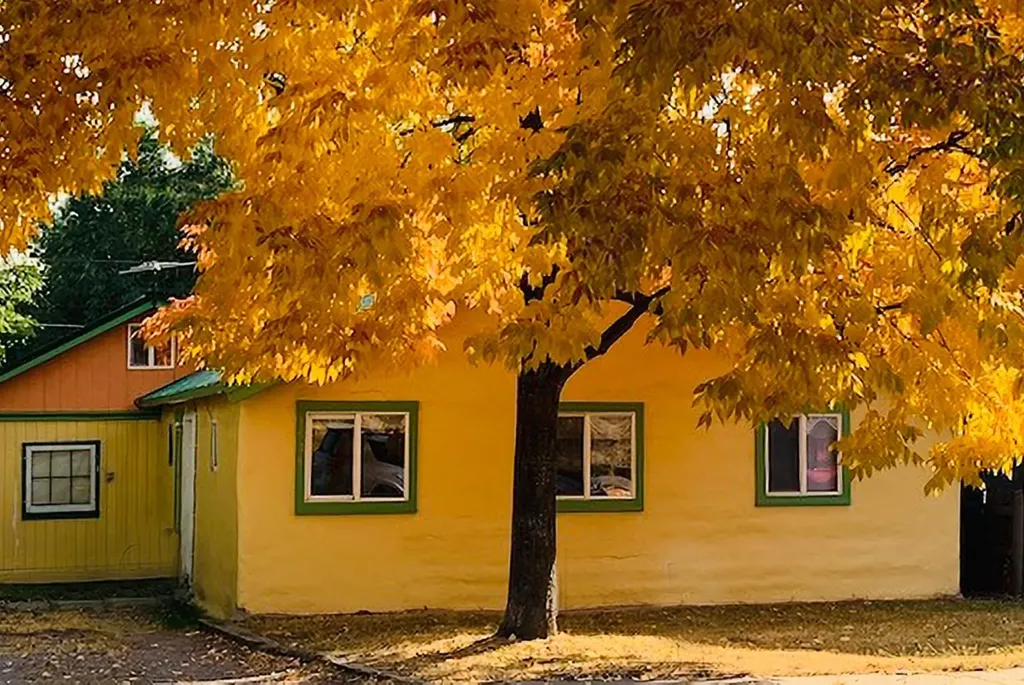 1935 Maple Street Missoula MT 59802