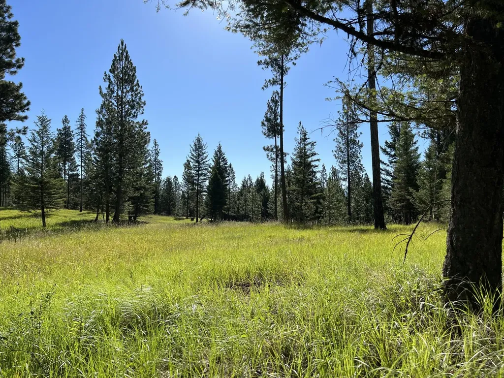 8212 Gold Creek Road Bonner MT 59823