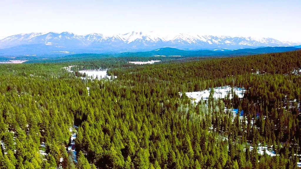 Nhn Buckskin Trail Fortine MT 59918