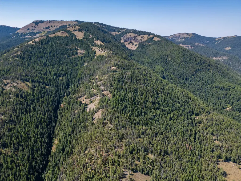 Tbd Nf 2300 Road Libby MT 59923