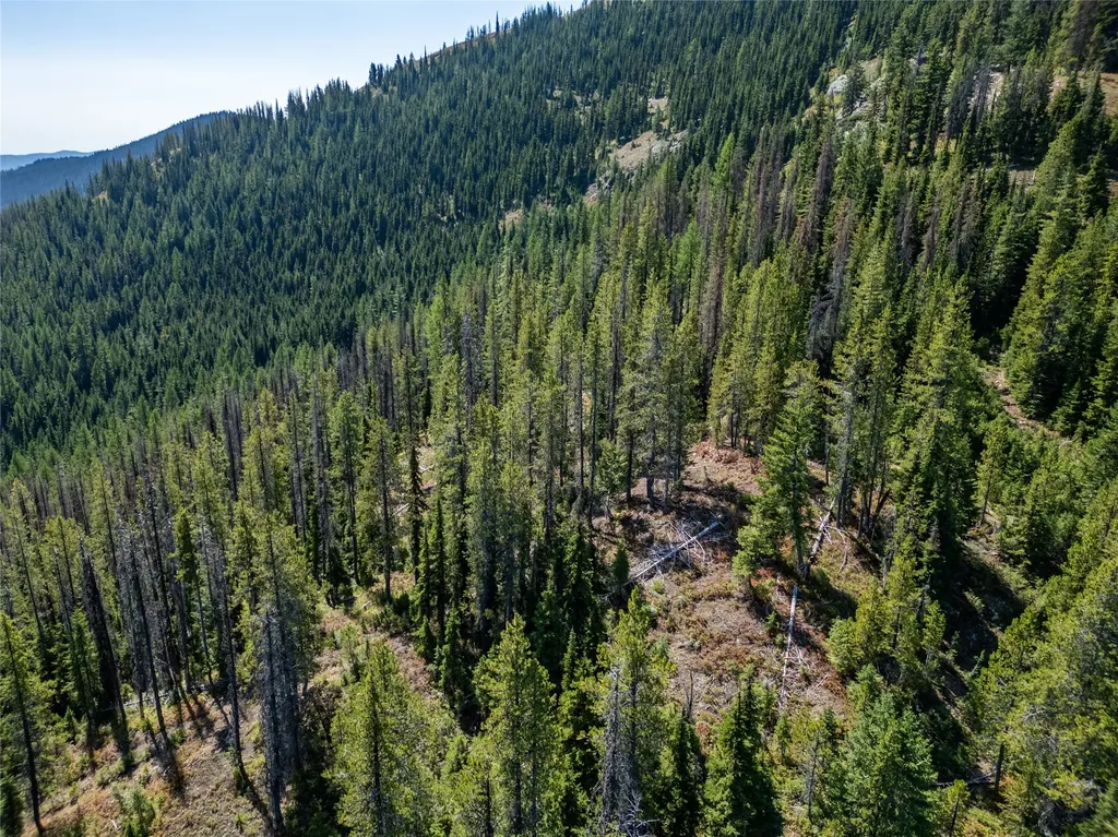 Tbd Nf 2300 Road Libby MT 59923