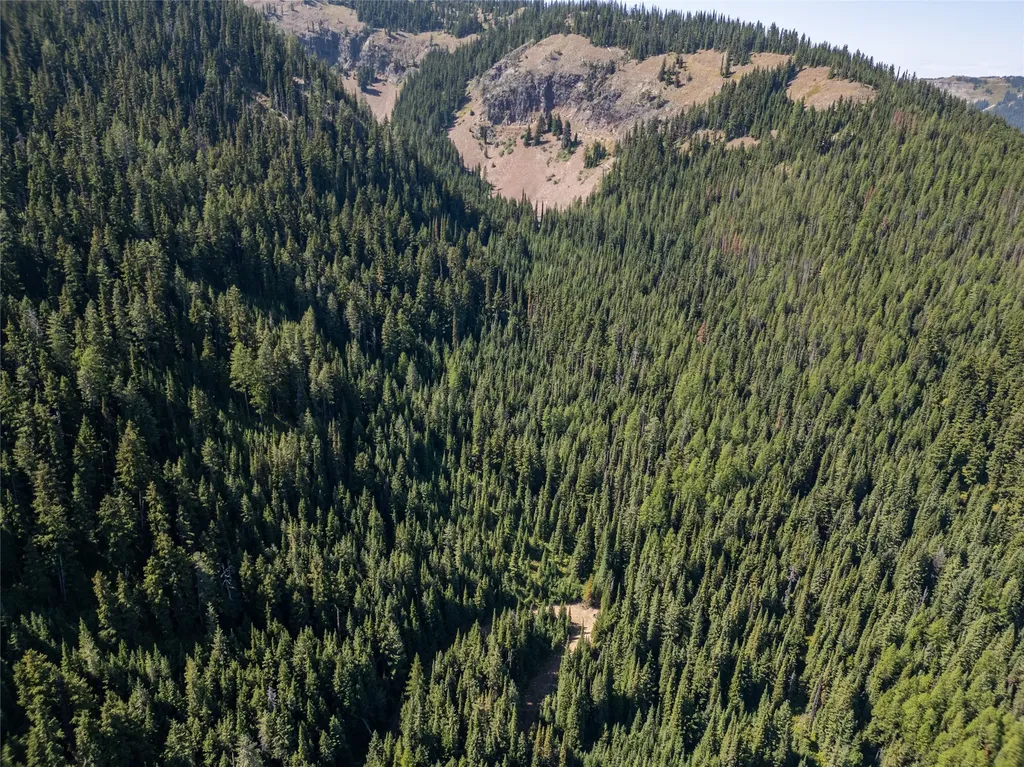 Tbd Nf 2300 Road Libby MT 59923