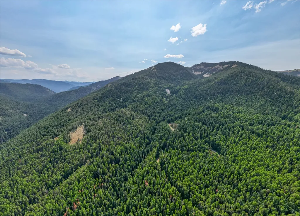 Tbd Nf 2300 Road Libby MT 59923