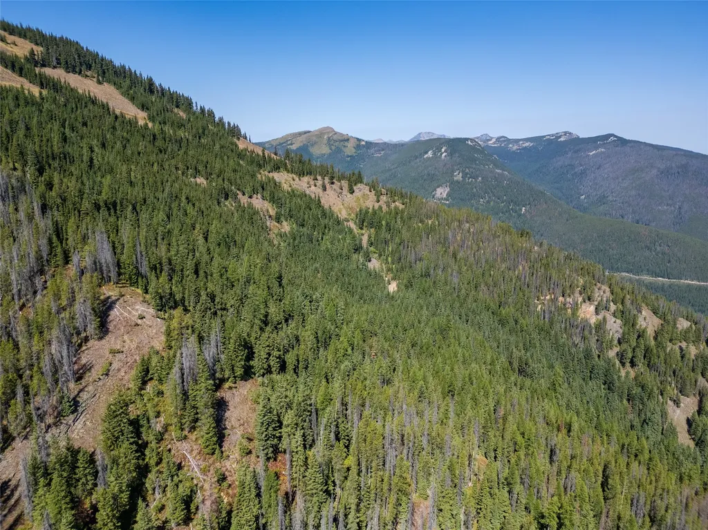 Tbd Nf 2300 Road Libby MT 59923