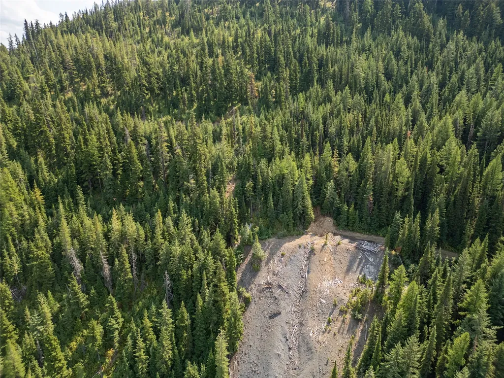Tbd Nf 2300 Road Libby MT 59923