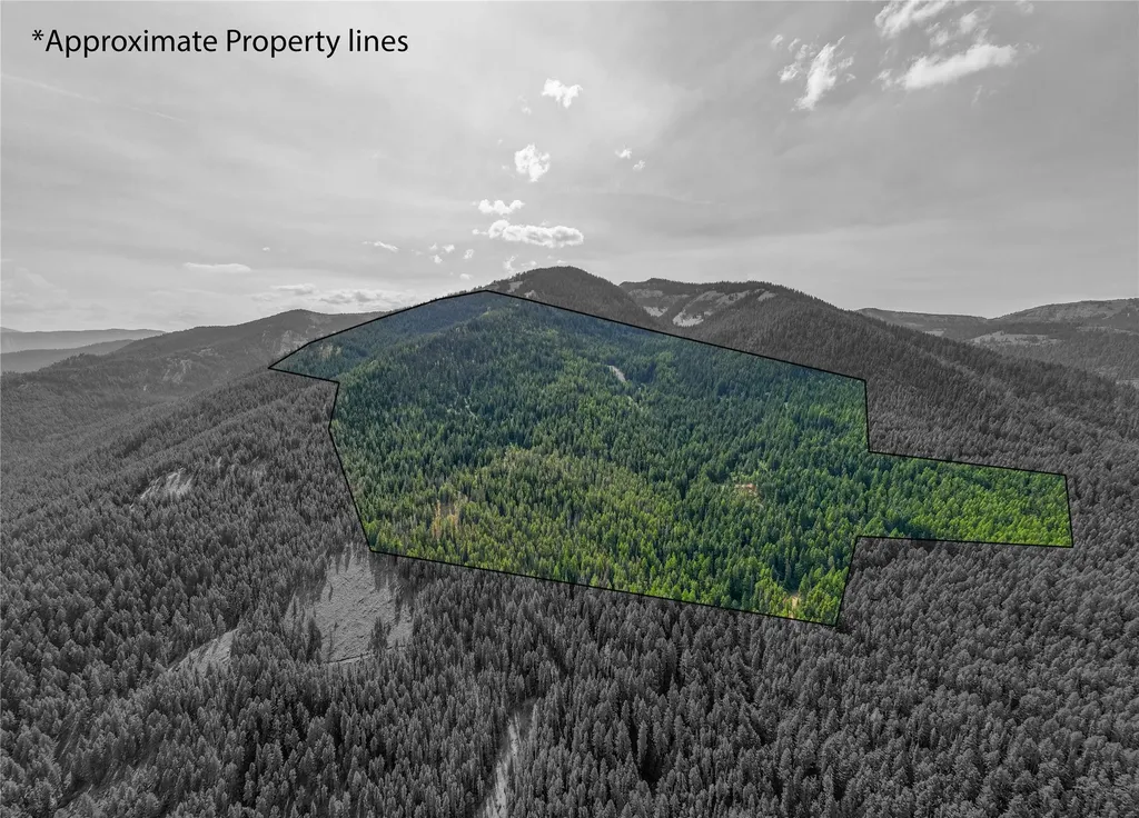 Tbd Nf 2300 Road Libby MT 59923