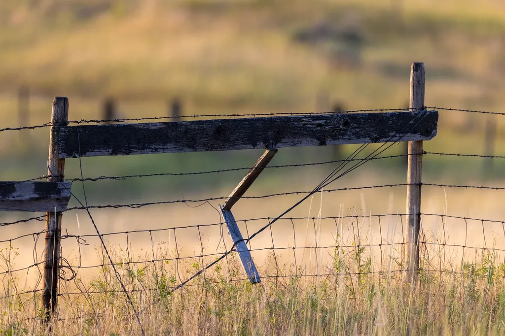 Nhn Maclay Road Lolo MT 59847