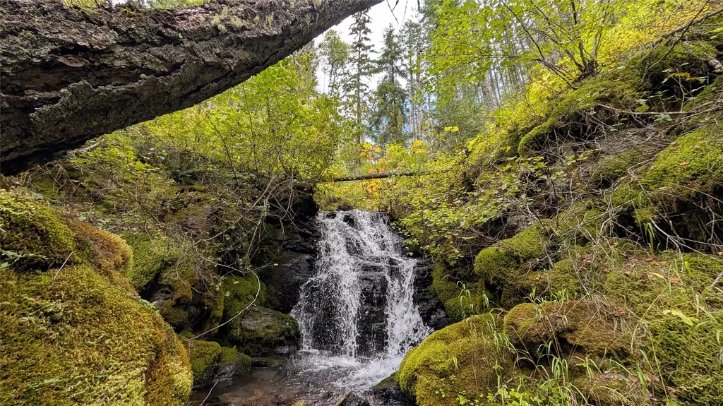 1250 Steel Mountain Road Columbia Falls MT 59912