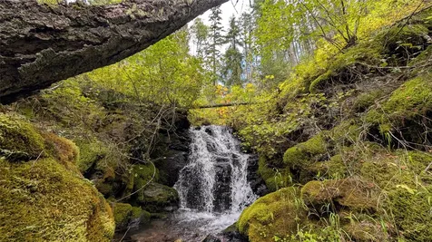 1250 Steel Mountain Road Columbia Falls MT 59912