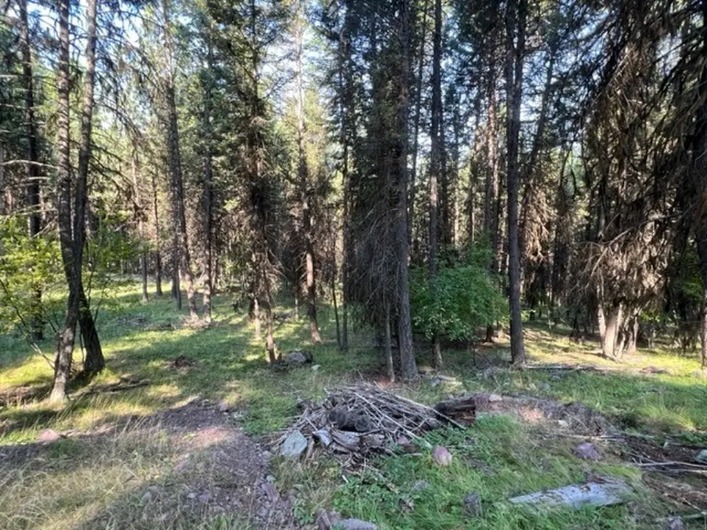433 Stage Coach Drive Seeley Lake MT 59868