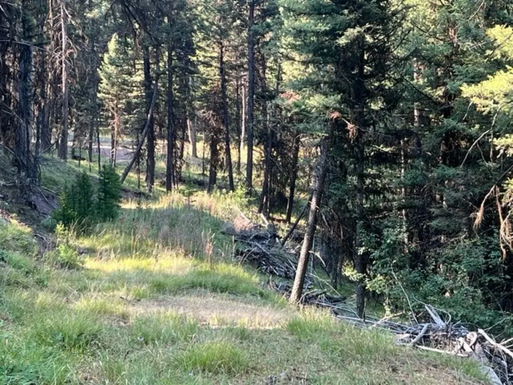 433 Stage Coach Drive Seeley Lake MT 59868