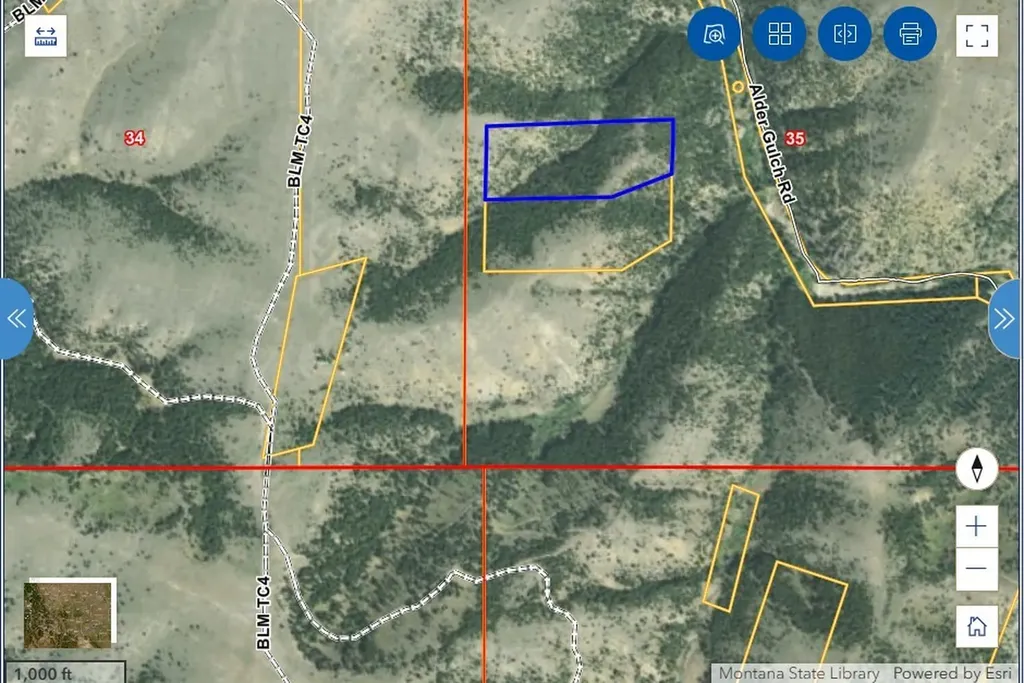 Tbd Wilson Lode Survey No. 10360 Virginia City MT 59729