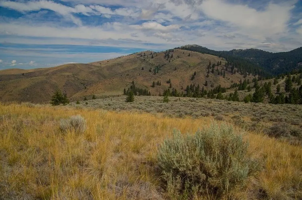 Lot 2 Sapphire Ridge Ranch Florence MT 59833
