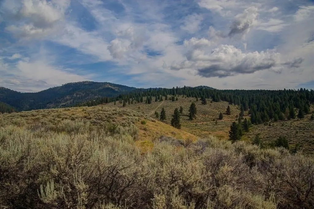 Lot 2 Sapphire Ridge Ranch Florence MT 59833