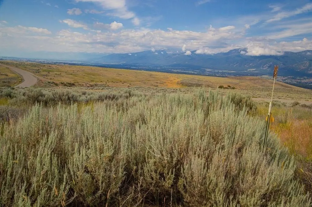 Lot 3 Sapphire Ridge Ranch Florence MT 59833