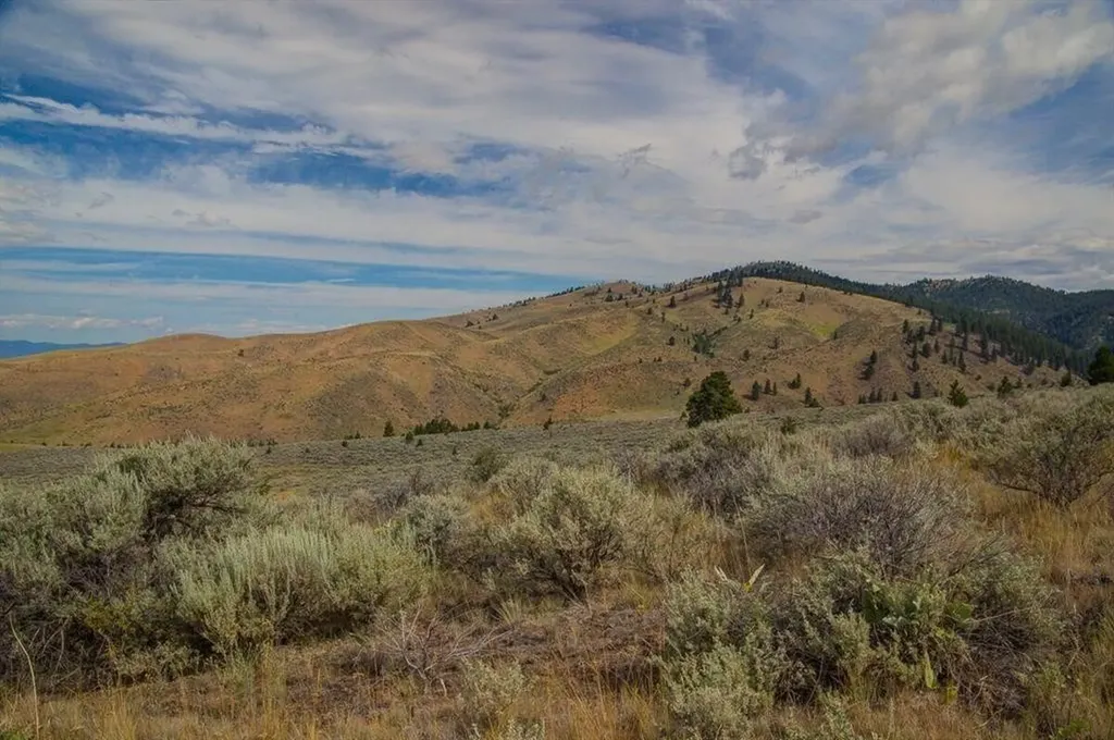 Lot 3 Sapphire Ridge Ranch Florence MT 59833