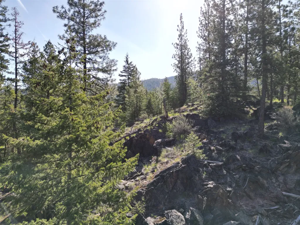 Nhn Tract 1c E Fork Combest Creek Road Plains MT 59859