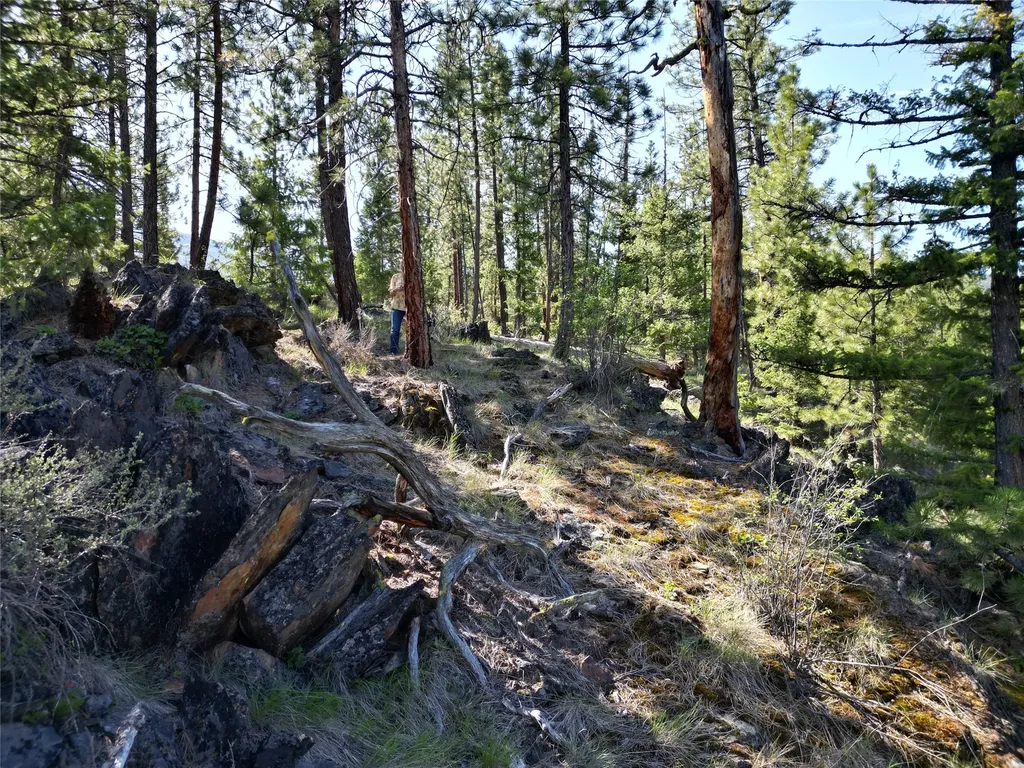 Nhn Tract 1c E Fork Combest Creek Road Plains MT 59859